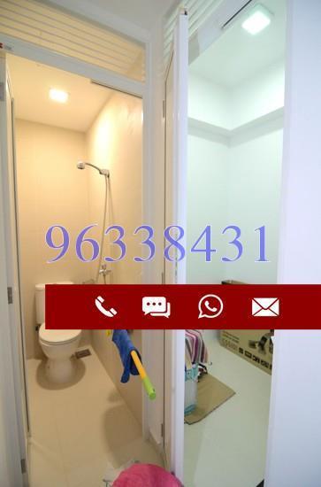 Riversound Residence (D19), Condominium #169116802